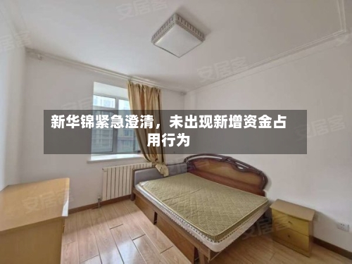 新华锦紧急澄清，未出现新增资金占用行为-第2张图片