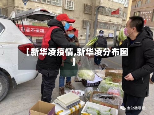 【新华凌疫情,新华凌分布图】