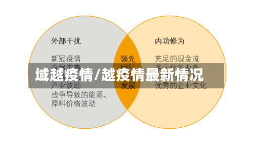 域越疫情/越疫情最新情况-第2张图片