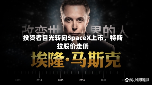 投资者目光转向SpaceX上市，特斯拉股价走低-第2张图片