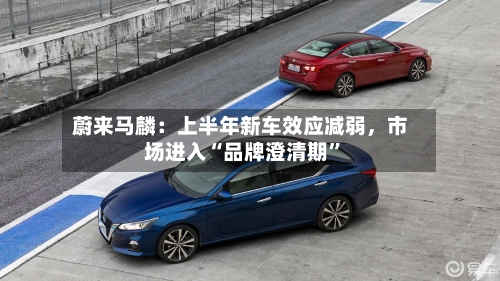 蔚来马麟：上半年新车效应减弱，市场进入“品牌澄清期”-第2张图片