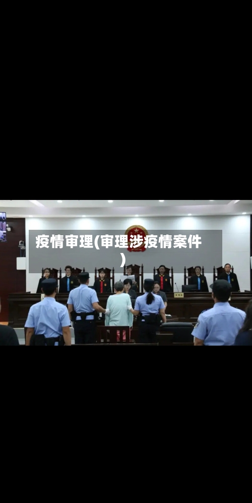 疫情审理(审理涉疫情案件)
