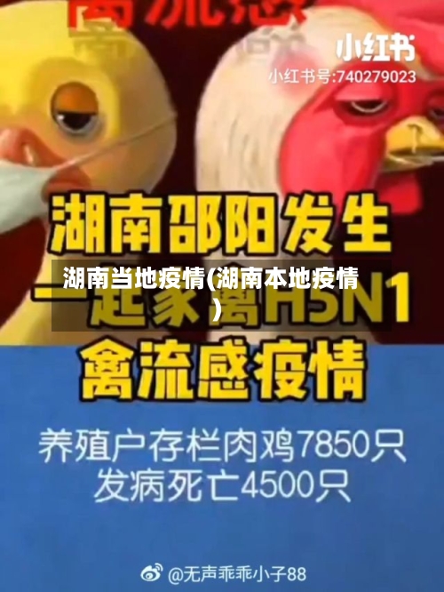 湖南当地疫情(湖南本地疫情)