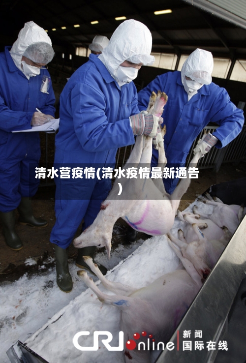 清水营疫情(清水疫情最新通告)-第2张图片