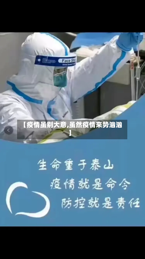 【疫情虽别大意,虽然疫情来势汹汹】-第2张图片