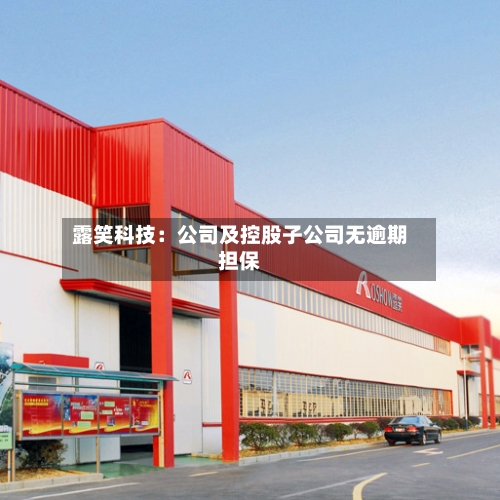 露笑科技：公司及控股子公司无逾期担保-第2张图片
