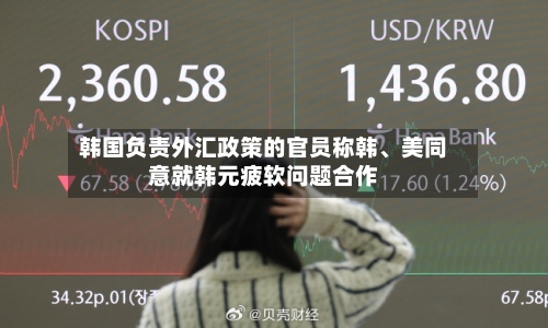 韩国负责外汇政策的官员称韩	、美同意就韩元疲软问题合作-第2张图片